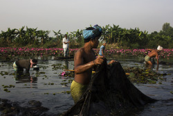 soon-monsoon:   								Somewhere in Bangladesh by Md. Kowshikur Rahman 						   