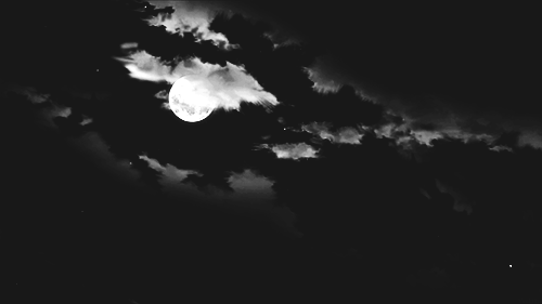 loneliness