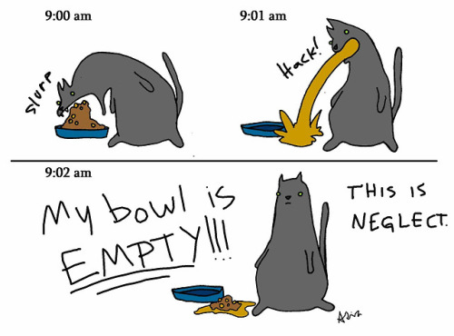 tastefullyoffensive:  Cat problems. (by Crabmeat Raccoon)