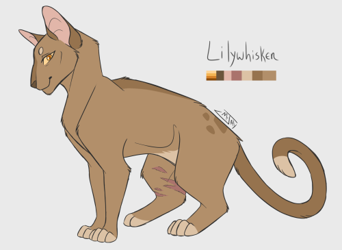  Designing #WCOTW - Lilywhisker - Owlwhisker - SootSpeedPaints for these cats –> [here]I st