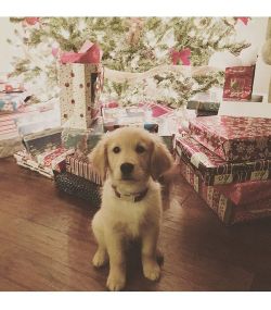 sidneyerin:  the best gift I could ask for.