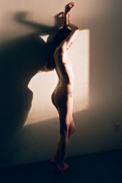 creativerehab:Tooof in a patch of light.Lo-res
