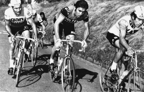 Raymond Poulidor, Eddy Merckx and Santiago Lazcano in the 1972 Giro di Lombardia