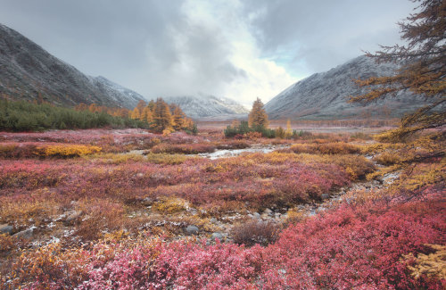 expressions-of-nature: Kolyma, Russia by Tonya Andreeva