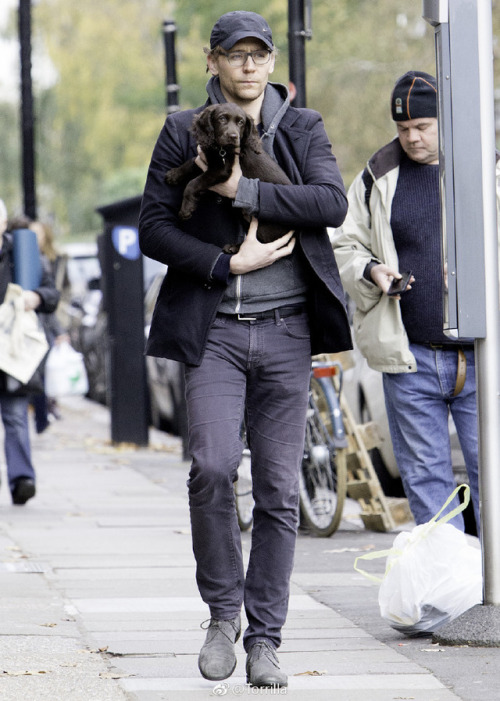 Tom with a puppy while out on a walk in London on November 9, 2017