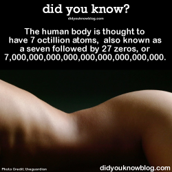 did-you-kno:  The human body is thought to