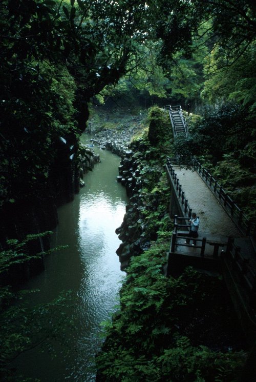 treesandlights: Takachiho, Kyushu by (Ad Blankestjin)