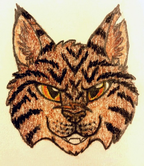 Made some art of Tigerstar, it turned out really well