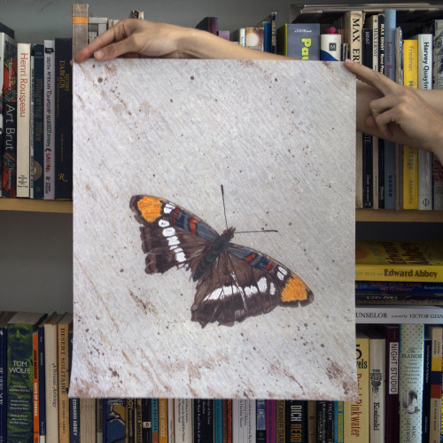 will have these 3 editions available at this exhibition opening in Montauk next weekend&hellip;N
