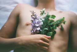 slowmotioncloudsx:  http://slowmotioncloudsx.tumblr.com/