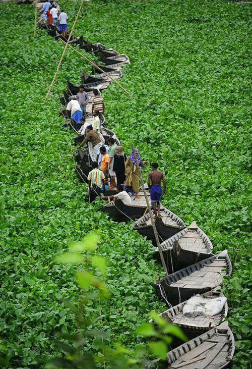 pakistanpeoplesparty: sixpenceee: Bangladeshi commuters cross the Buriganga River on a floating boat