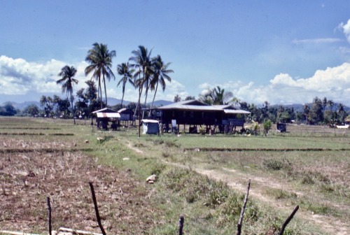 Padi and Palms, Rural Sabah (Borneo), Malaysia, 1978.