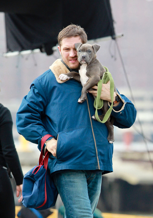 tomhardyrocks:  Tom Hardy playing with the puppy on the set of Animal Rescue [x] 