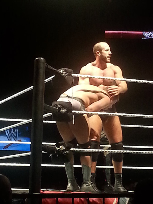 XXX romulusreigns:  WWE Live 01/31/14  So much photo