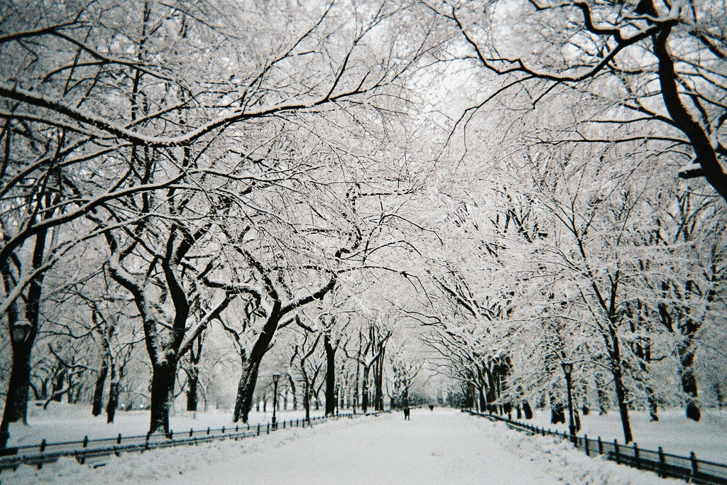 Winter Blog