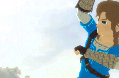 hyliansheik:  Link… you are the light – our light – that must shine upon Hyrule