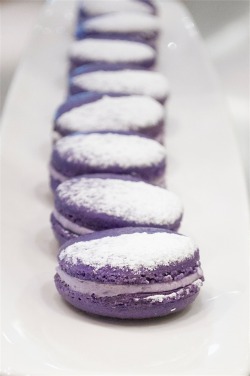 aperture24:  purple yam macarons