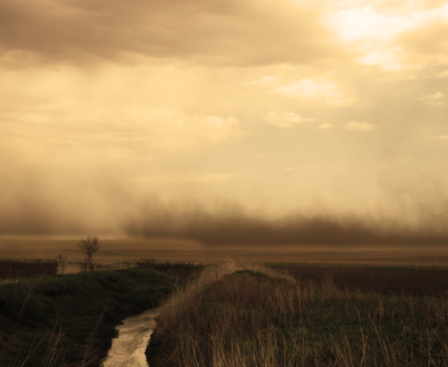 plantyhamchuk:Soil Erosion by Wind“Wind also causes much soil erosion. When the wind blows acr