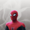 spidermangifs avatar
