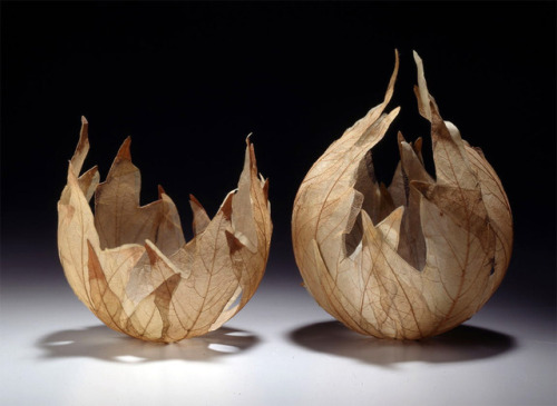 Bowls made from real leaf skeletons by fibre artist Kay Sekimachi