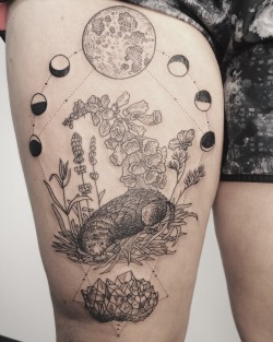 ponyreinhardt:  Star-nose mole on a little bed of grass and wildflowers, including foxglove, lavender, and California poppy. With lunar cycle and amethyst cluster! By Pony Reinhardt at Tenderfoot Studio in Portland, OR.  For more, follow on IG: freeorgy