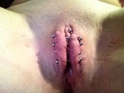 Pussy And Nipple Modifications