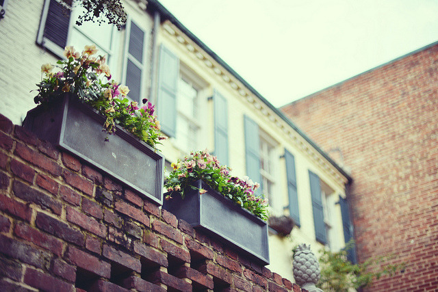 thingssheloves:  sunday routine by studio494 on Flickr.