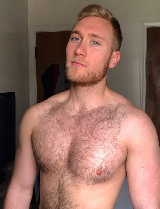 furrytrade:  Follow both of my blogs @ http://furrytrade.tumblr.com/ & http://dirtyrabbithole.tumblr.com