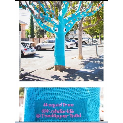 Amazing, radical, inspiring!! Check out the work of @knitsforlife @thedappertoad #squidtree #areyoukiddingme #comeon #yarnbomb