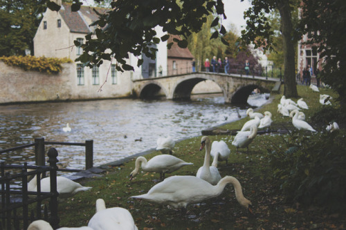i-doll:0710; Brugge with @eligy