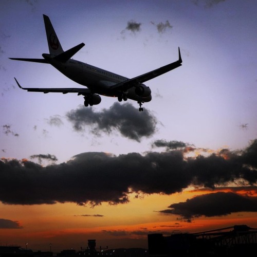 黄昏到着便 〜Landing in the Magic Hour〜 撮影地:仙台空港 Camera ： EOS R Lens ： EF24-105mm F3.5-5.6 IS STM #行くぜ東北 #