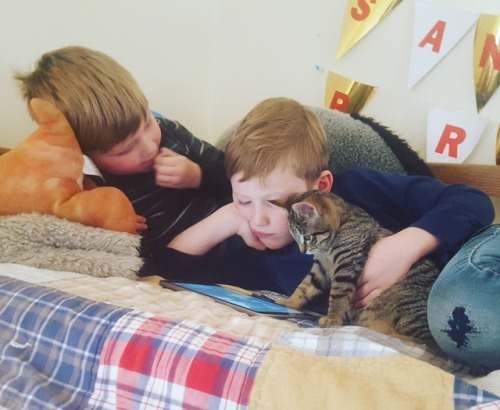 The babies rotting their brains with Sunday morning cartoons. #vegankids #rescuecat