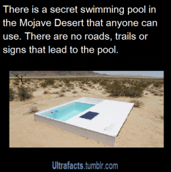 waffleyz:  ultrafacts:  Source (Want more facts? Click HERE to follow)  You actually need to use one of the 4 available keys that are given to you by the pool creator. Once you find it, insert the key and it will transform into the pool. Also you need