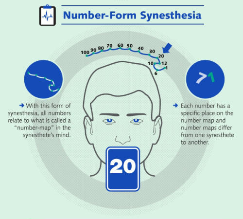 psicologicamenteblog: Source: Understanding the phenomenon of synesthesia. Follow Francesca Mura on&