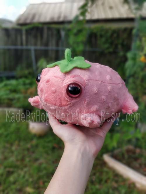 figdays:  Minis! Strawberry Frog Baby Plushies // MadeByHopeMerrydew