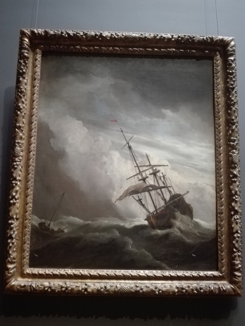 mactevirtute - Rijksmuseum, Amsterdam