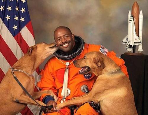 jdogislikeaboss:  sixpenceee:  Astronaut Leland Melvin includes his rescued dogs in best NASA portrait ever.   I’m so glad he rescued those dogs from space