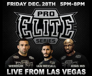 MMA Elite LIVE from the Hooters Hotel &amp; Casino Las Vegas with MMA Stars Fabricio Werdum, Kin
