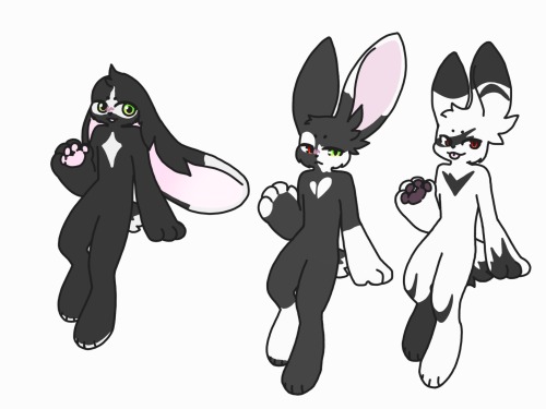 Couple Of Cabbits