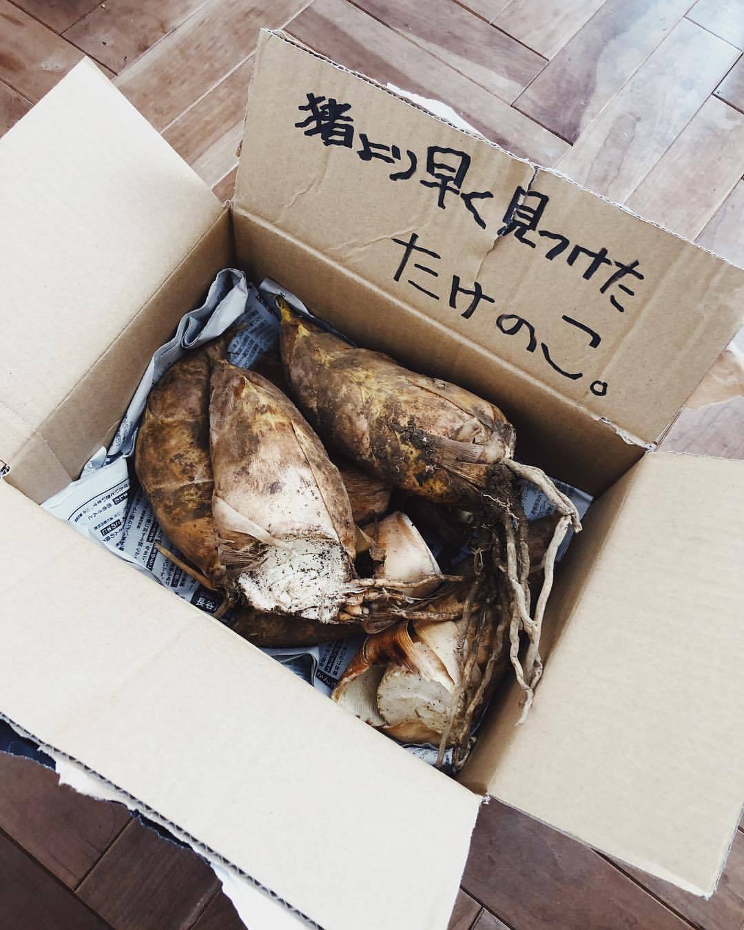 暮らしかた冒険家 未来の ふつう を今つくる 会いたかったよ たけのこぉ 熊本の ボシドラ農園 の佐藤くん Hijet6243 から タケノコが届いた 北海道にはタケノコは自生しないので それはもう貴重で憧れの食べもの というわけで ご近所さんたちと