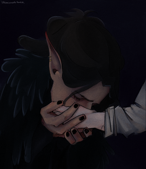 [PERC'ILDAN]