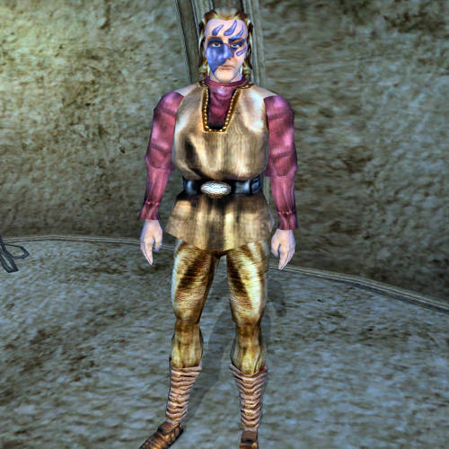 uesp:“Seen any elves? Hahahahahahaha.”–A commonly heard comment from Nords living in Morrowind, a 