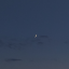 apparition765