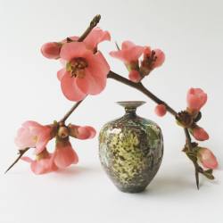 culturenlifestyle:  Exquisite Miniature Pottery by Jon Almeda Jon Almeda is an expert miniature pottery artist based in Washington who breaths life into the smallest of art. He creates hand thrown vases and pots which are a fraction of the size of their