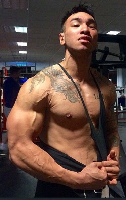 asianmusclefetish:  Original post: http://asianmusclefetish.tumblr.com