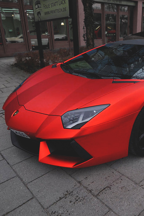 pictures-of-luxury:  Twitter l Facebook 