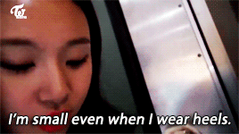 tzuyuuwu:@jaekii requested: gifset of chaeyoungchaeyoung + smol