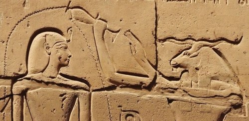 amntenofre:the God Khnum (ram-headed) purifying King Ramses II (wearing the Nemes with the uraeus).“