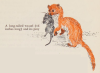 antiqueanimals:The First Book of Mammals. adult photos
