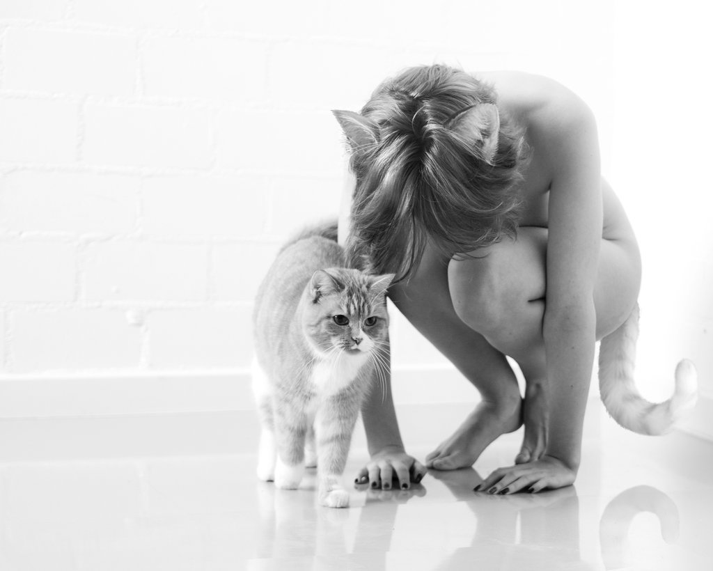 sub-kasia:  ♡ kitten loves 